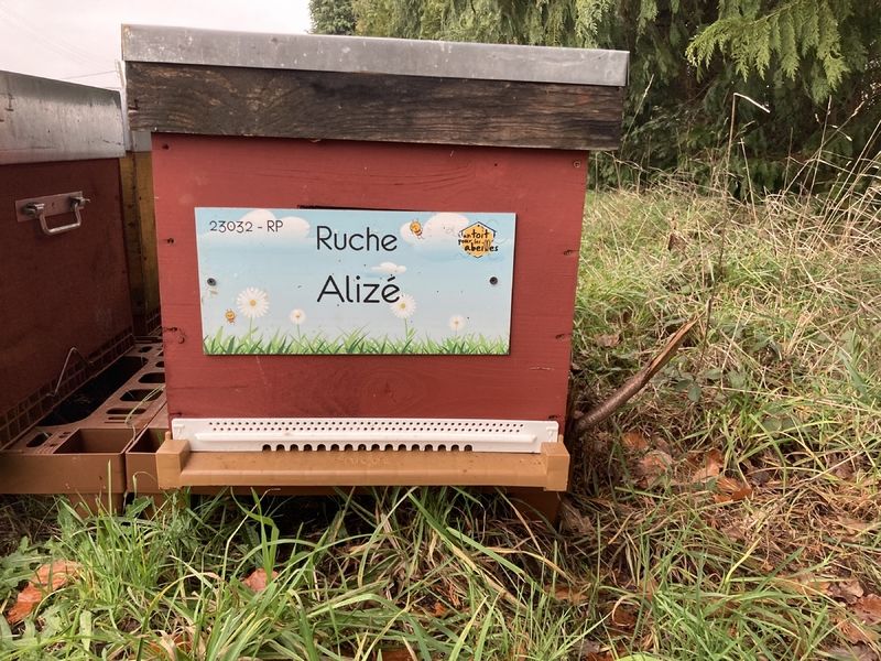 La ruche Alizé