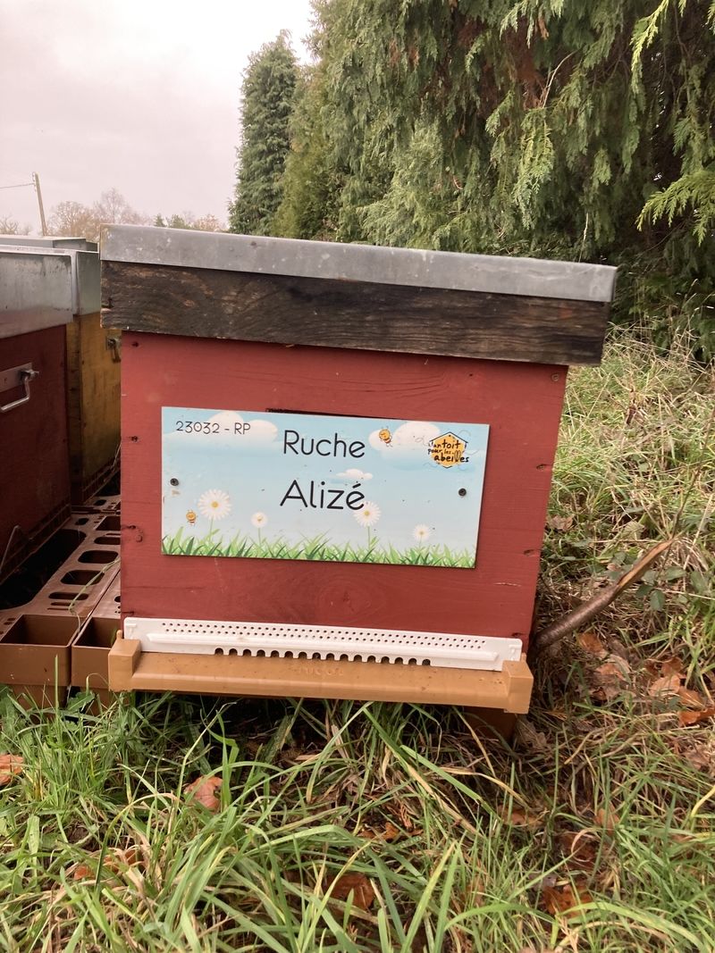 La ruche Alizé