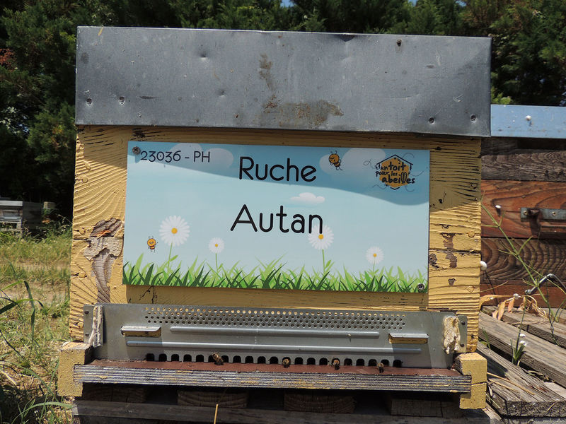 La ruche Autan