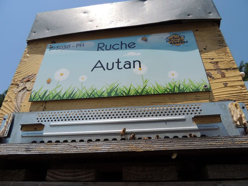 La ruche