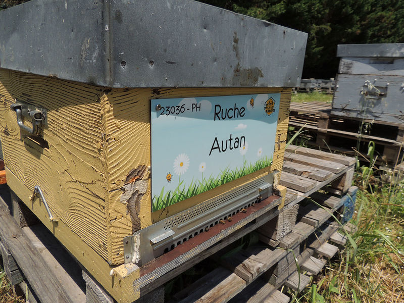 La ruche Autan