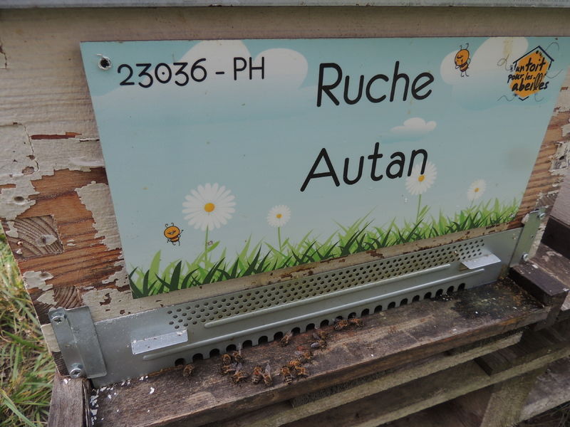 La ruche Autan