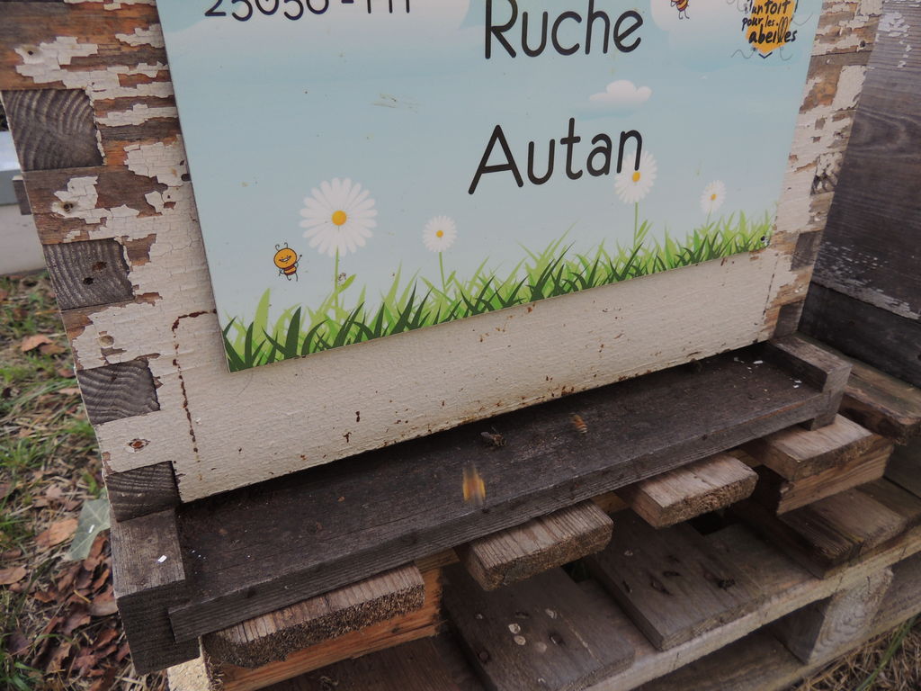La ruche Autan