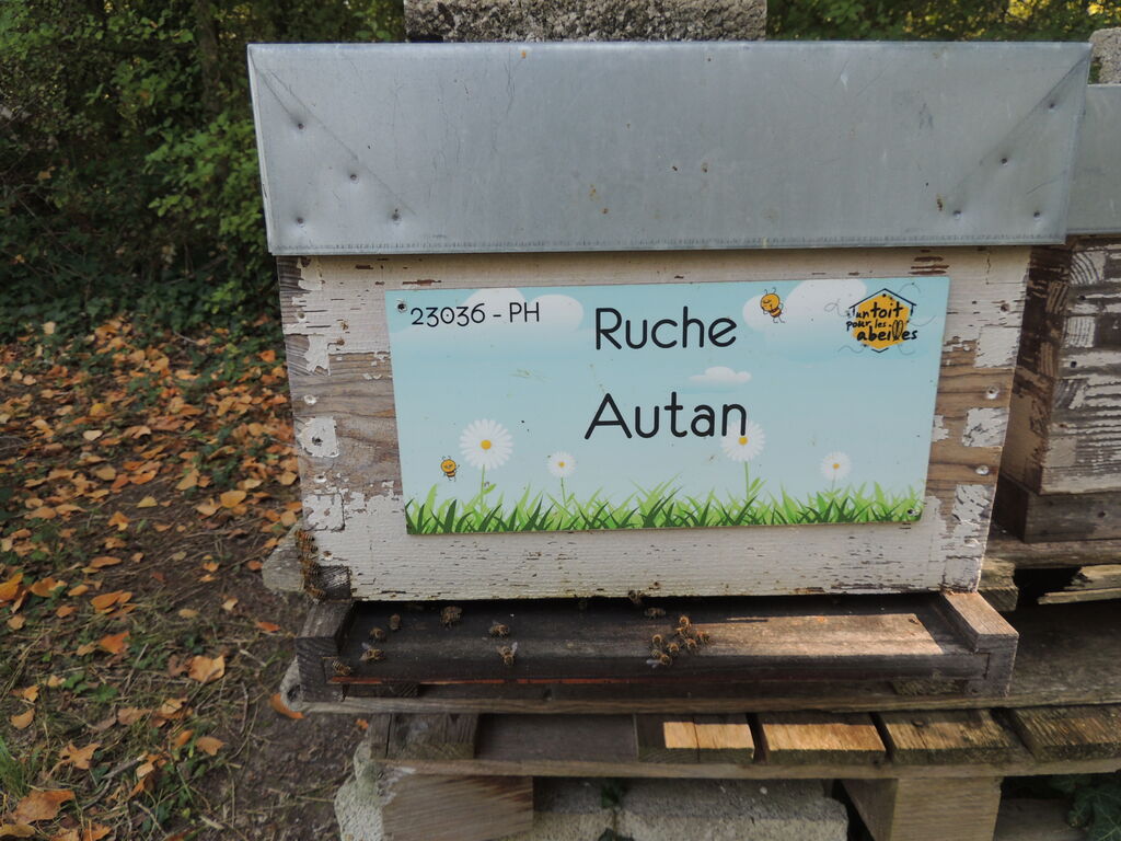 La ruche Autan