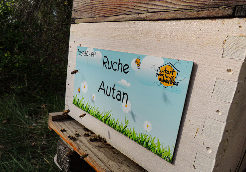 La ruche Autan