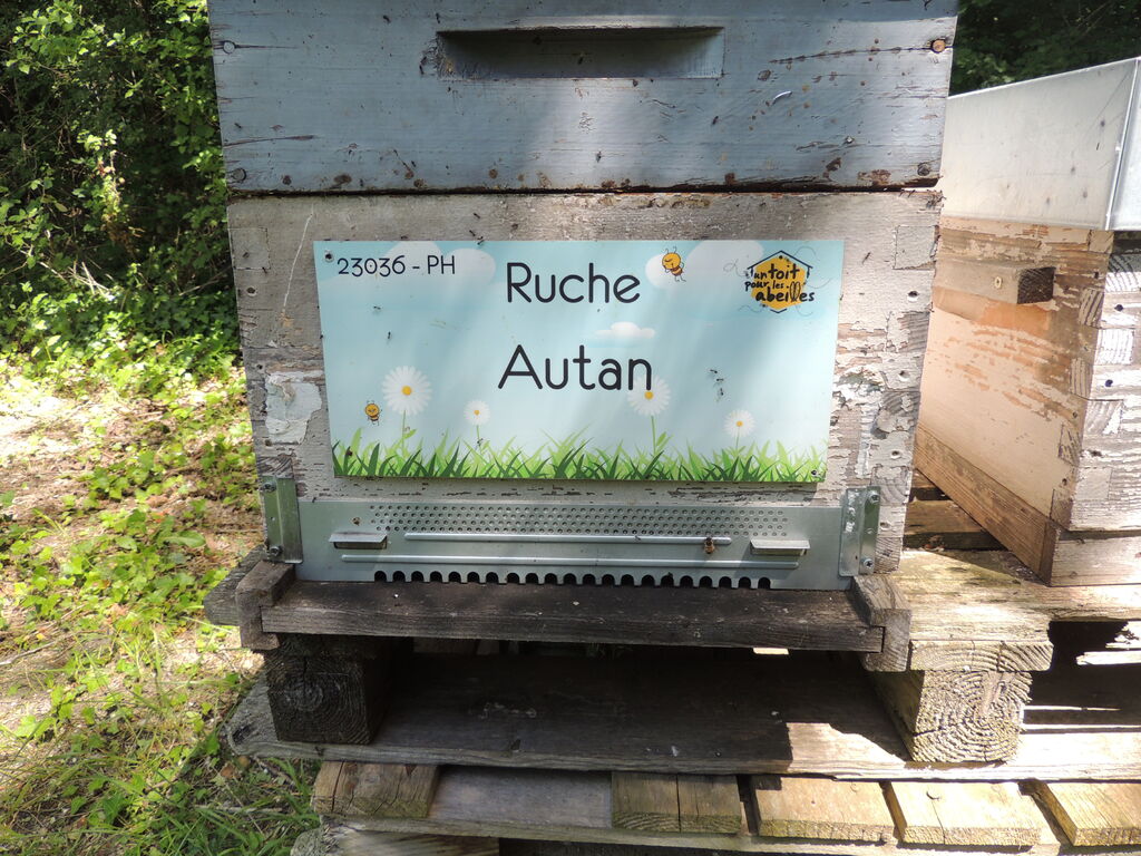 La ruche Autan