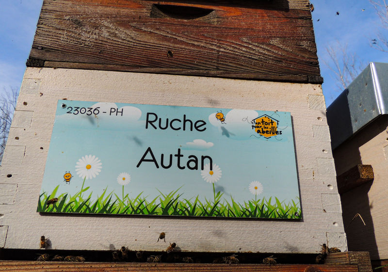 La ruche Autan