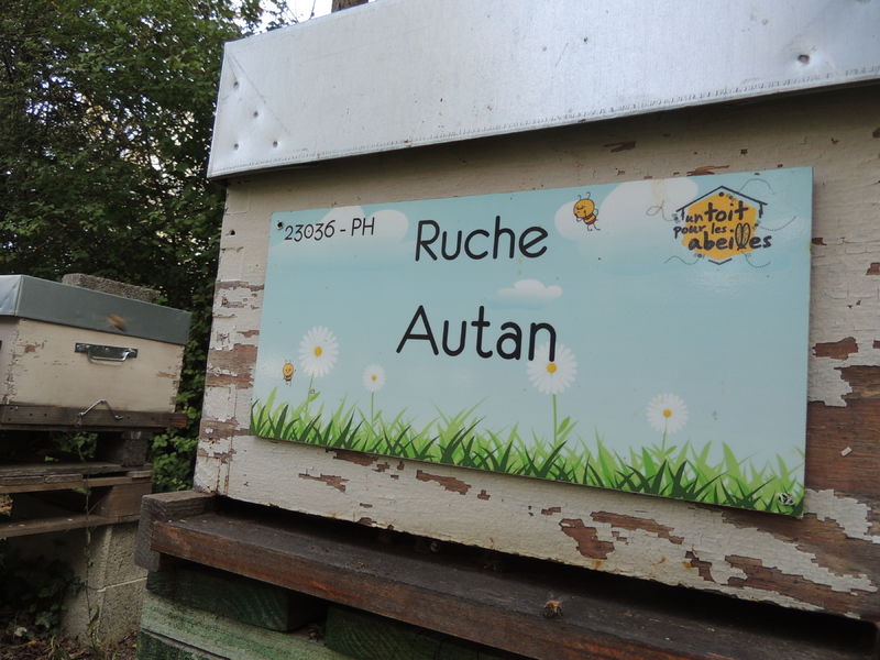 La ruche Autan
