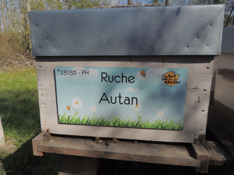 La ruche Autan
