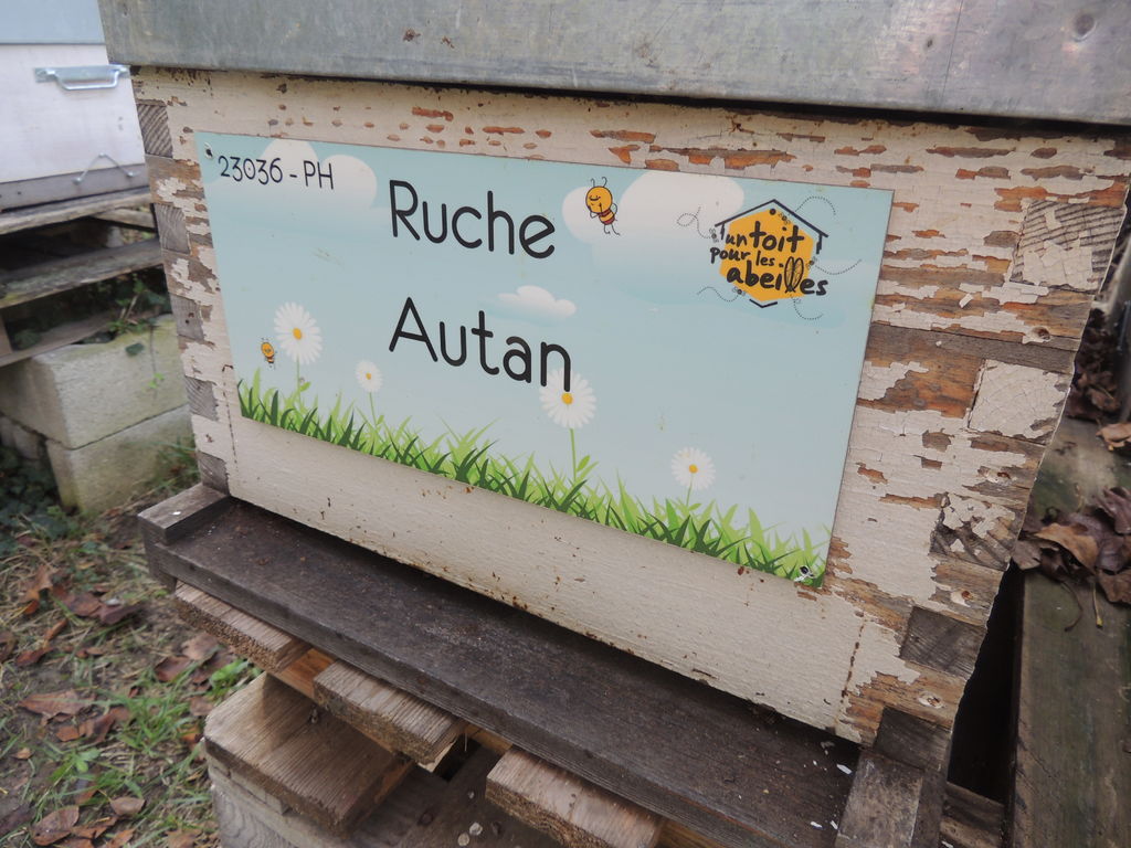 La ruche Autan