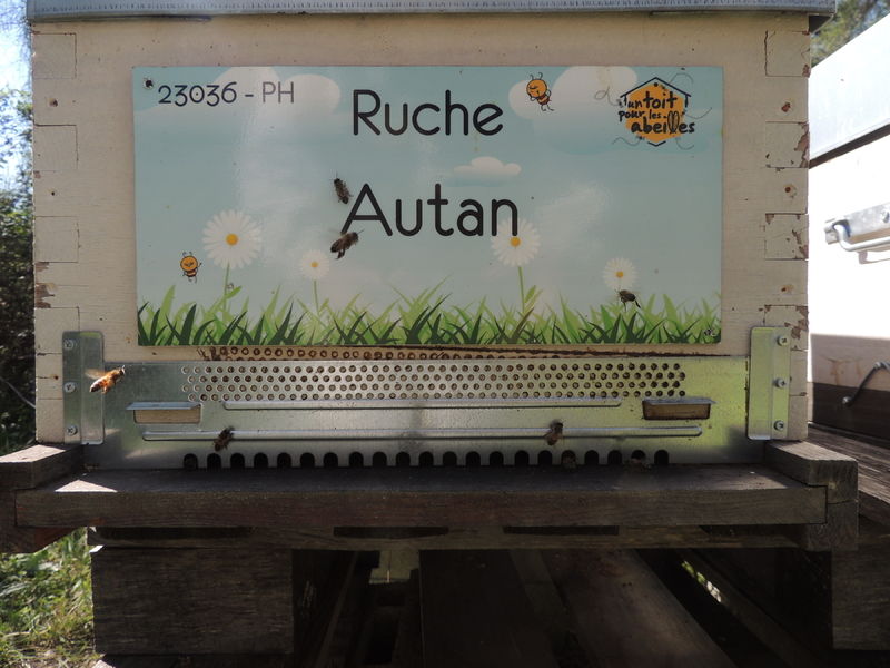 La ruche Autan