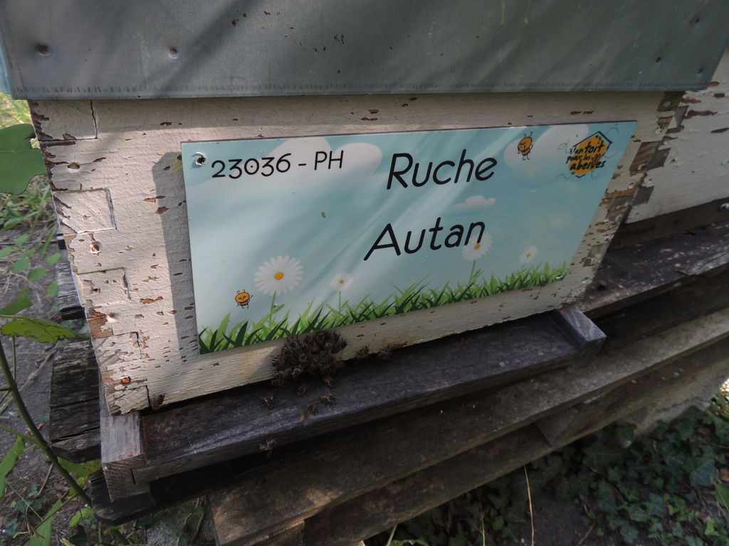 La ruche Autan