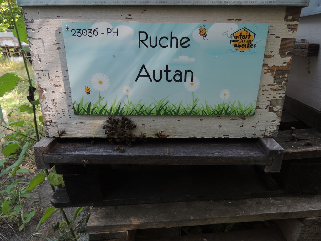 La ruche Autan