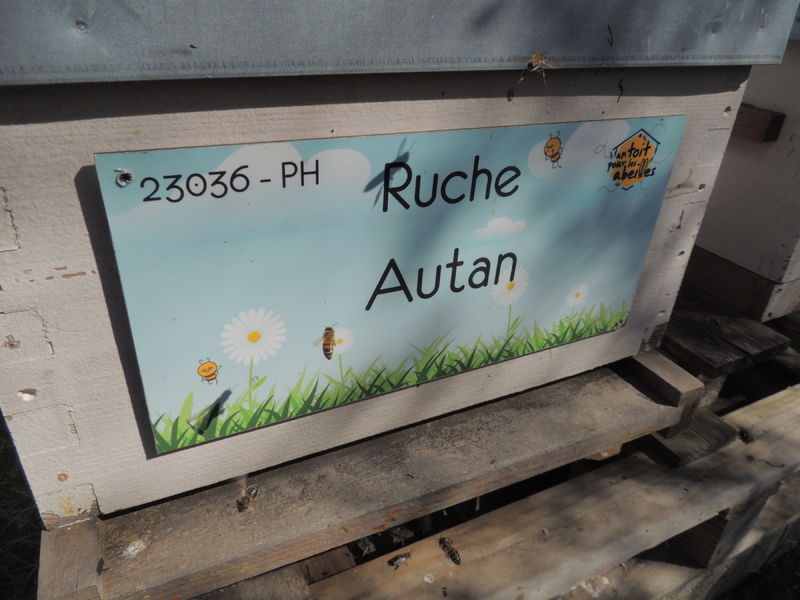 La ruche Autan