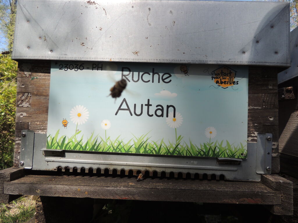 La ruche Autan