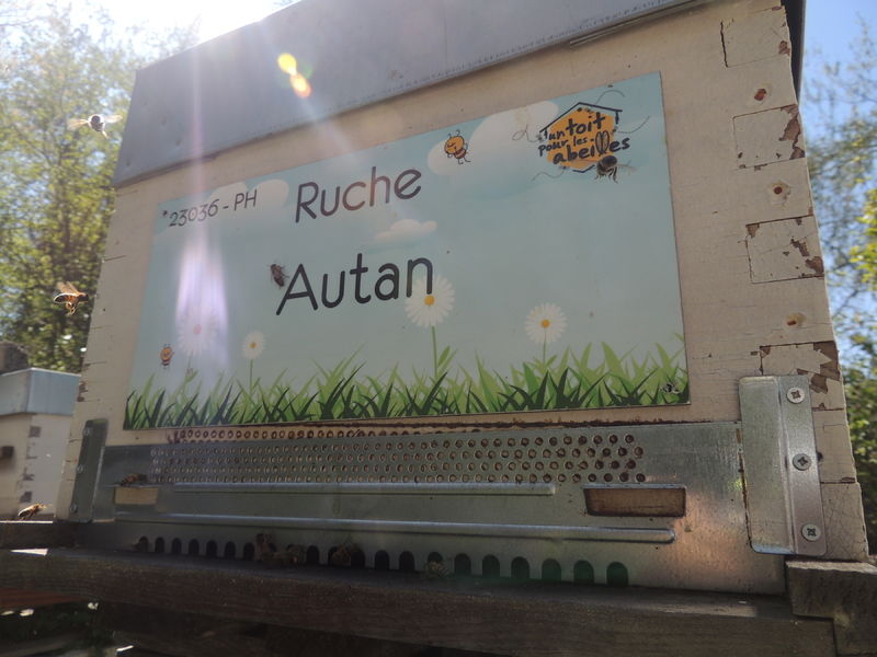 La ruche Autan