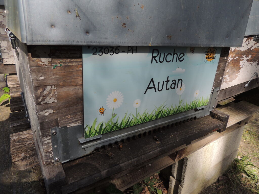 La ruche Autan