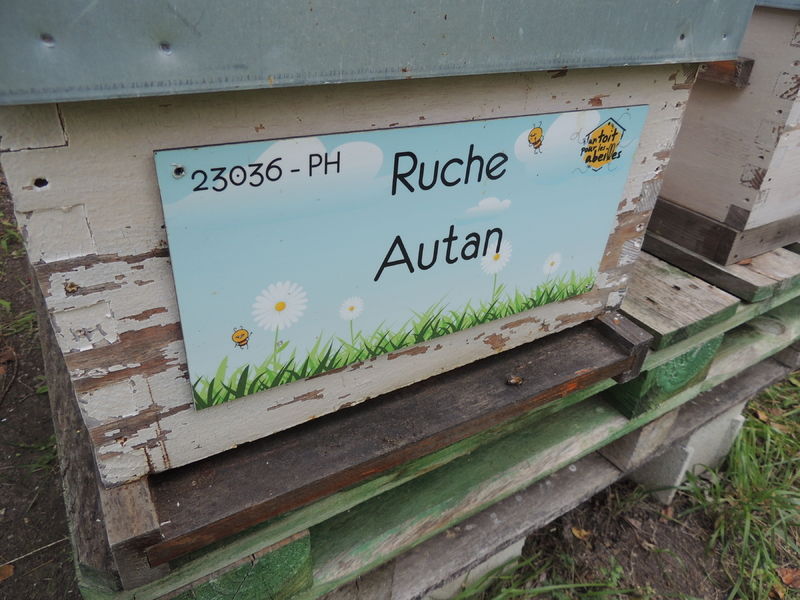La ruche Autan