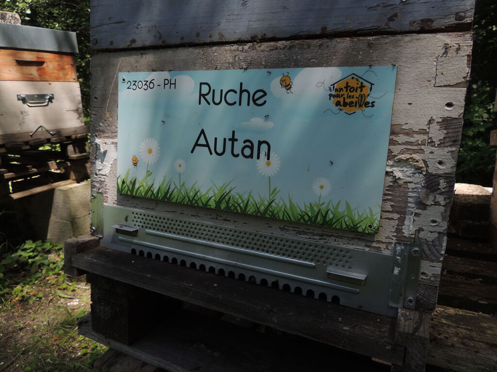 La ruche Autan