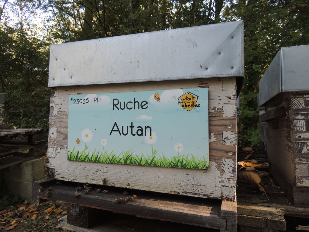 La ruche Autan