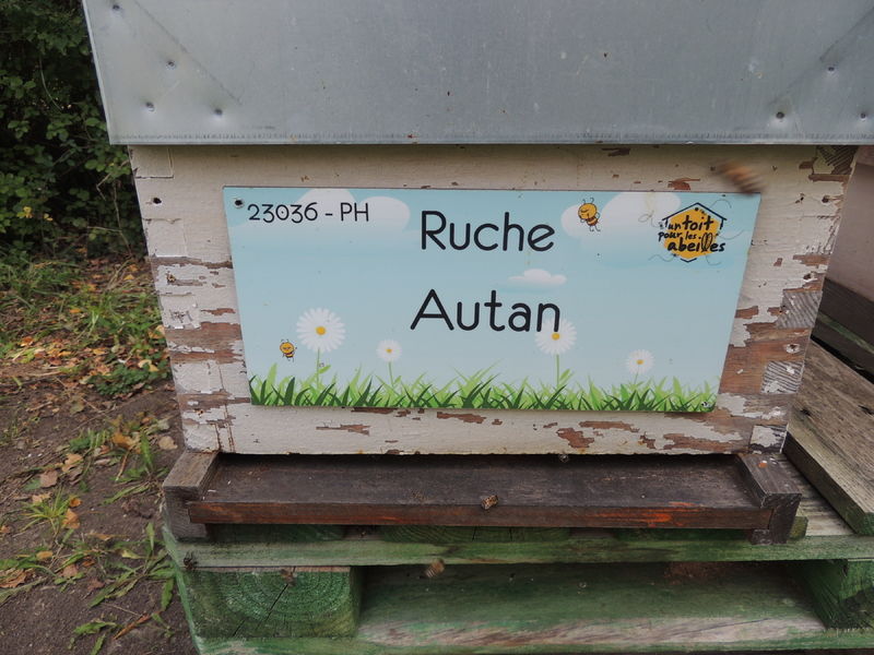 La ruche Autan