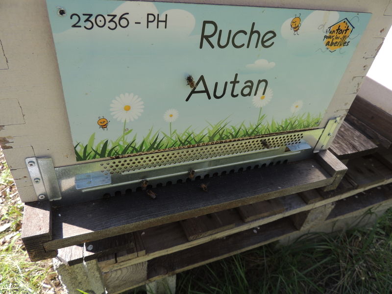 La ruche Autan