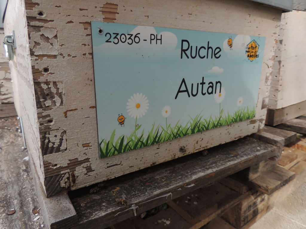 La ruche Autan