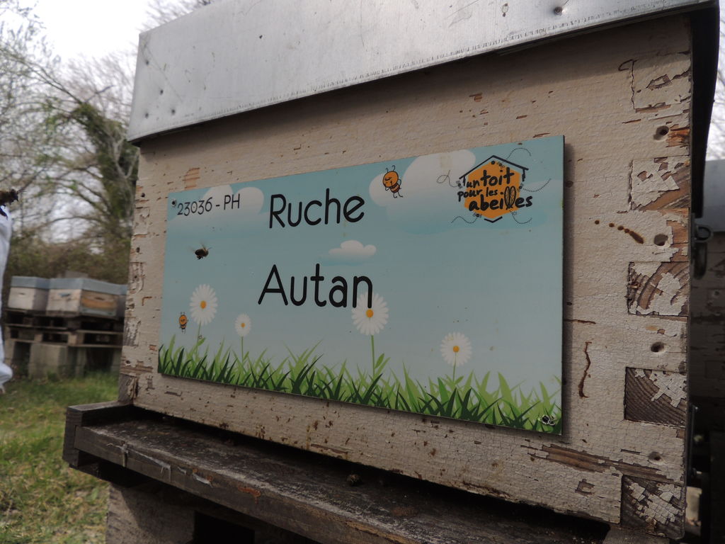 La ruche Autan