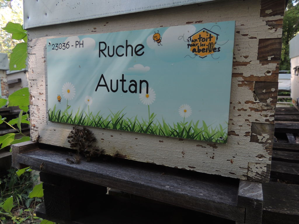 La ruche Autan