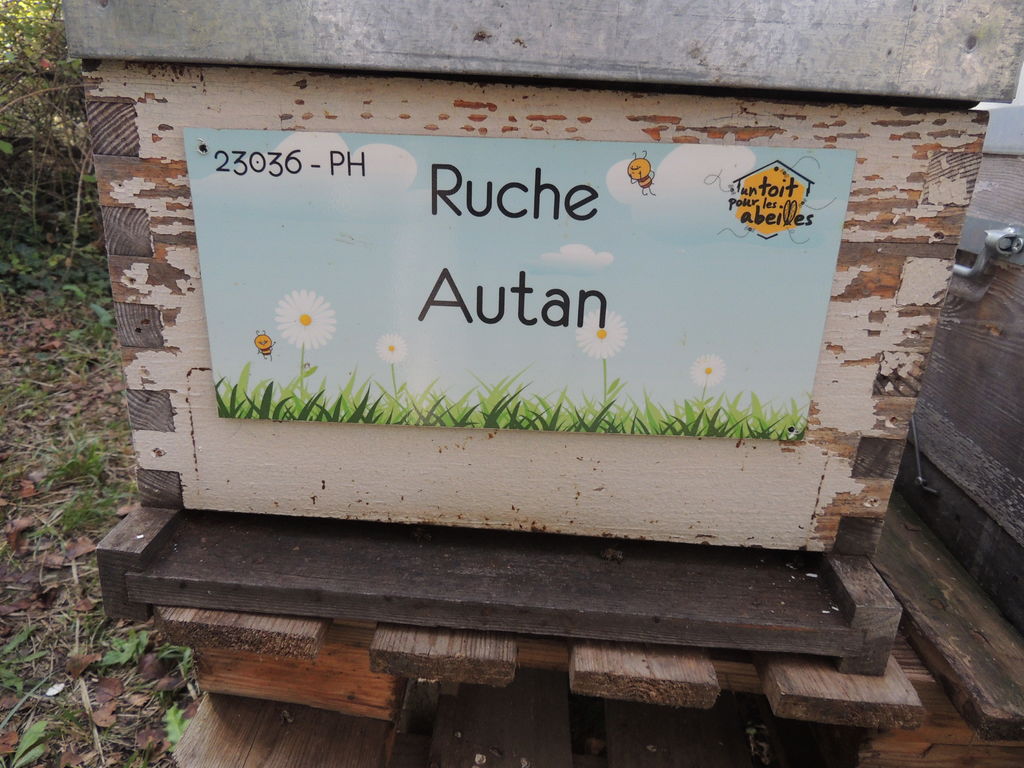 La ruche Autan