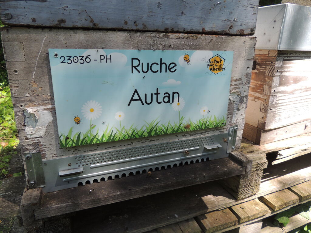 La ruche Autan