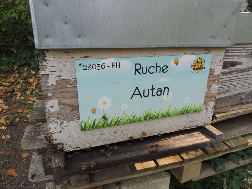 La ruche Autan