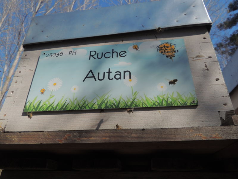 La ruche Autan