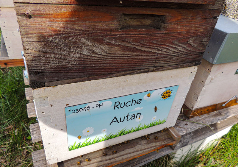 La ruche Autan