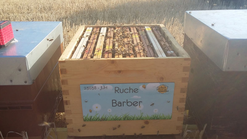 La ruche