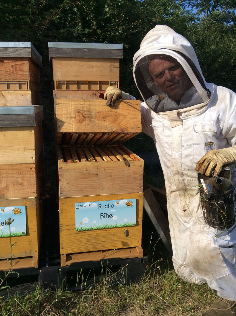 La ruche Bîhe
