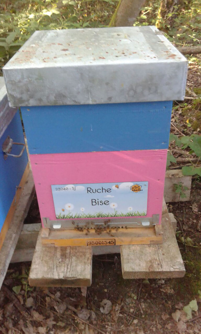 La ruche