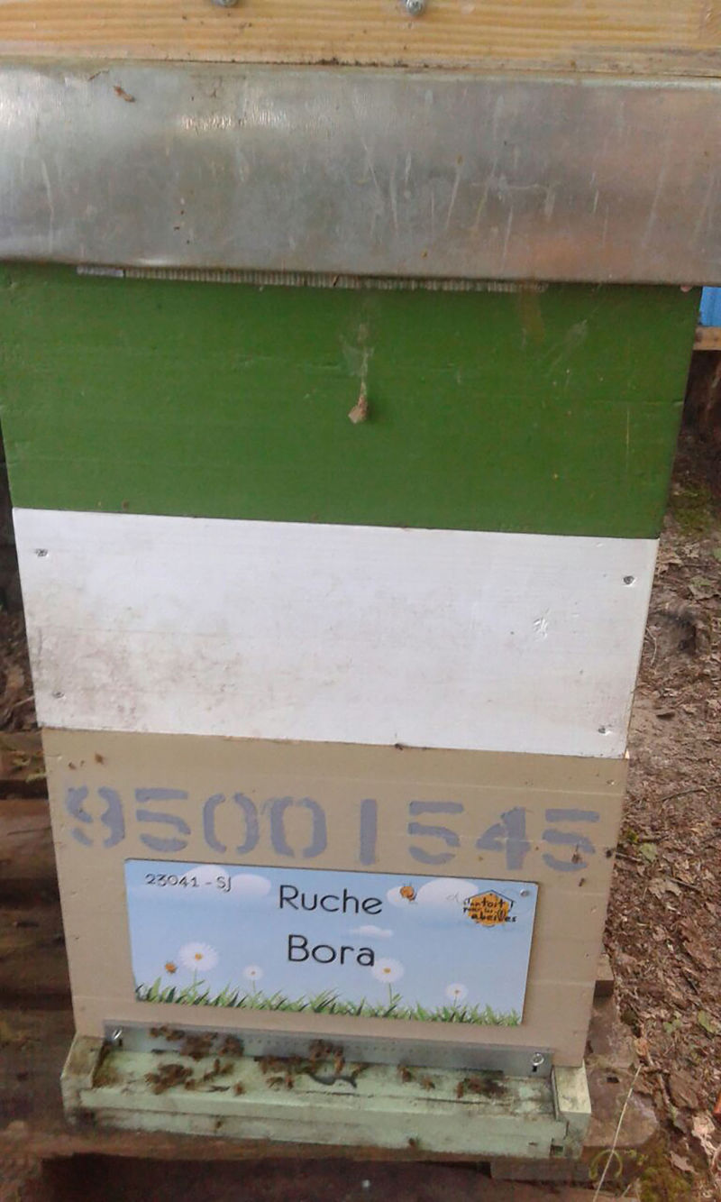 La ruche