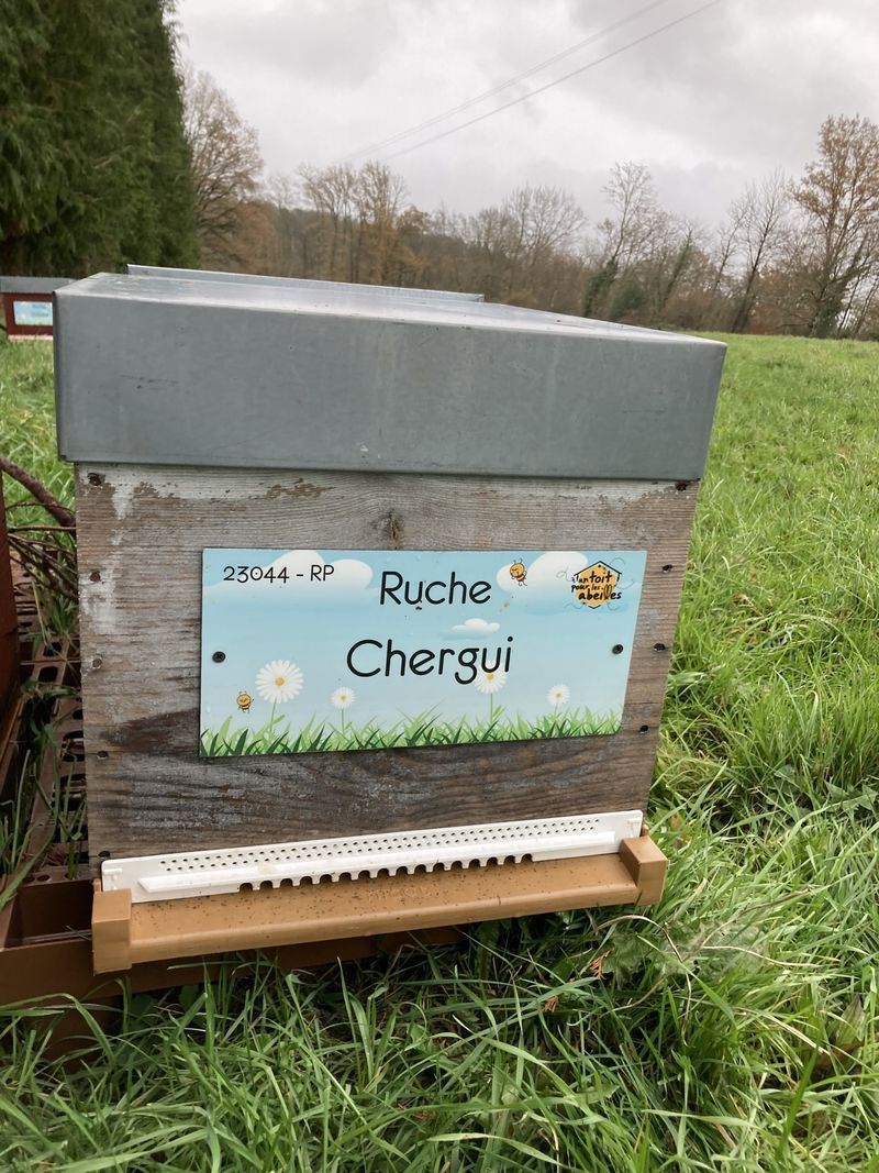 La ruche Chergui