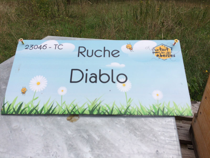 La ruche