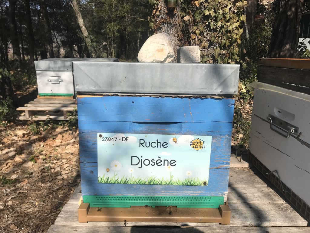 La ruche Djosène