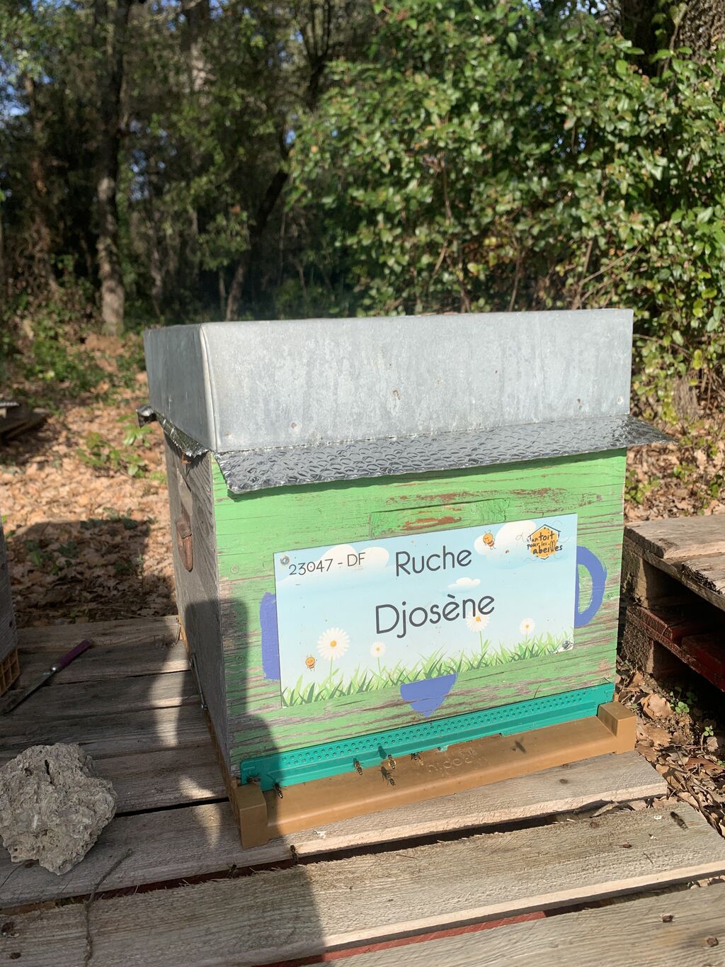 La ruche Djosène
