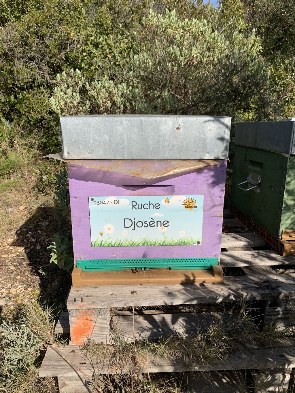 La ruche Djosène