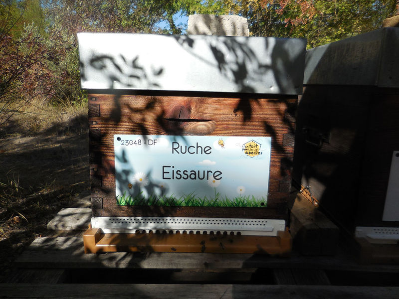 La ruche