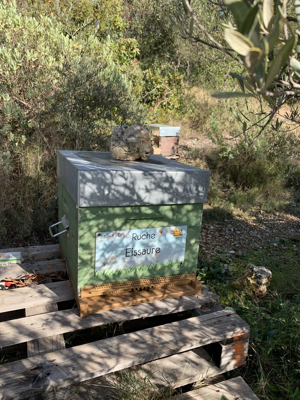 La ruche Eissaure