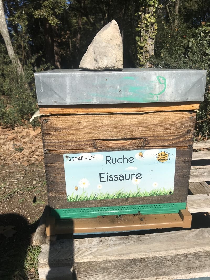 La ruche Eissaure
