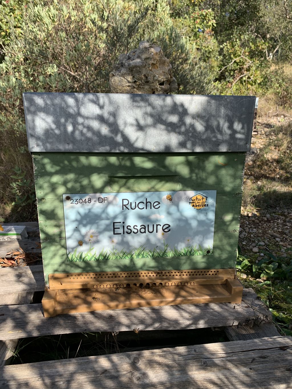 La ruche Eissaure