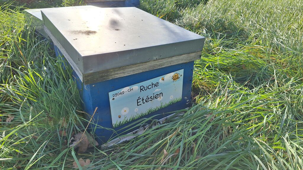 La ruche Étésien