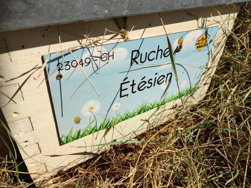 La ruche Étésien