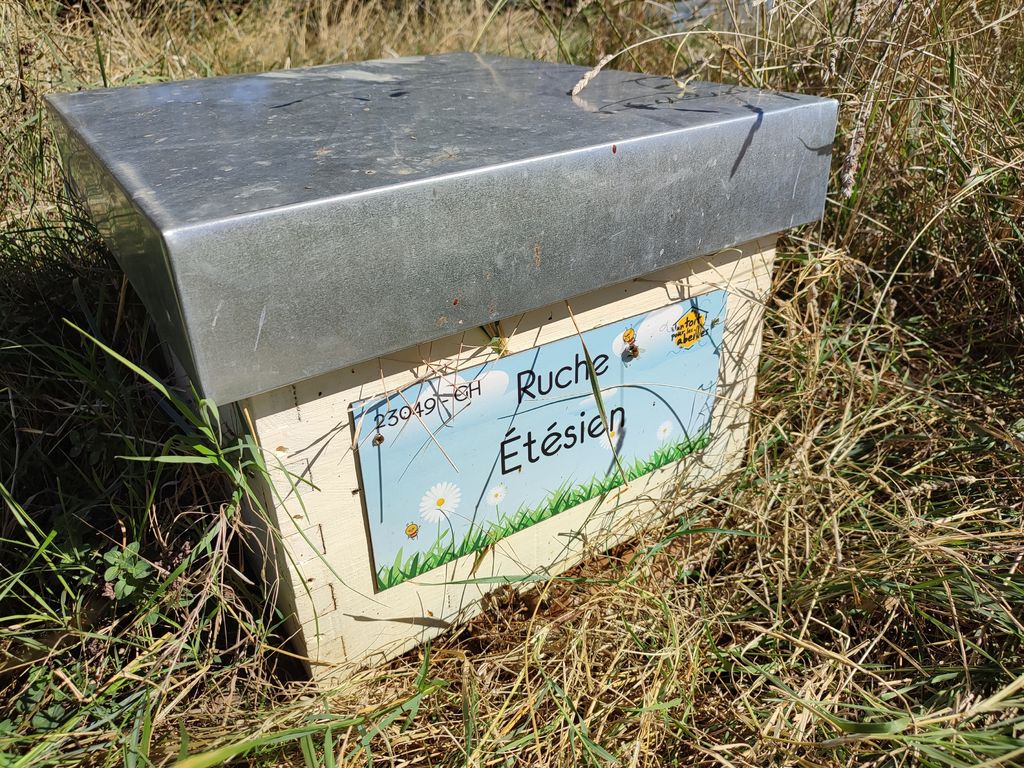 La ruche Étésien